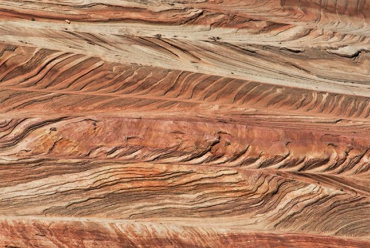 Coyote Buttes North  5350.jpg
